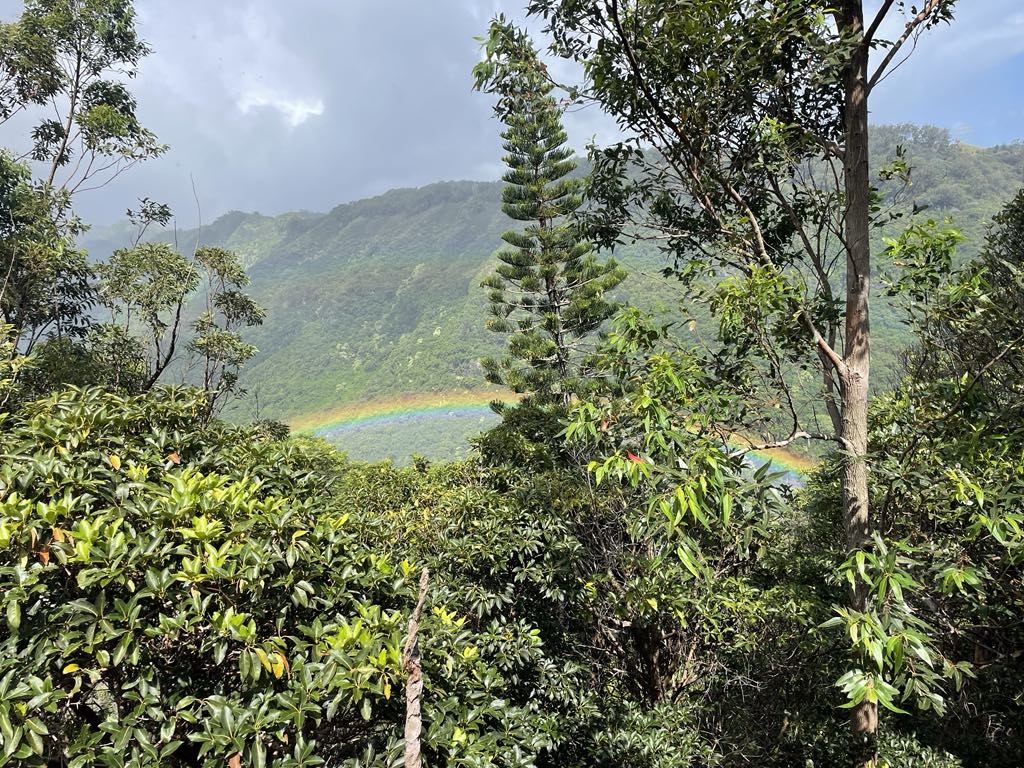 Aiea Loop Trailで癒しの休日