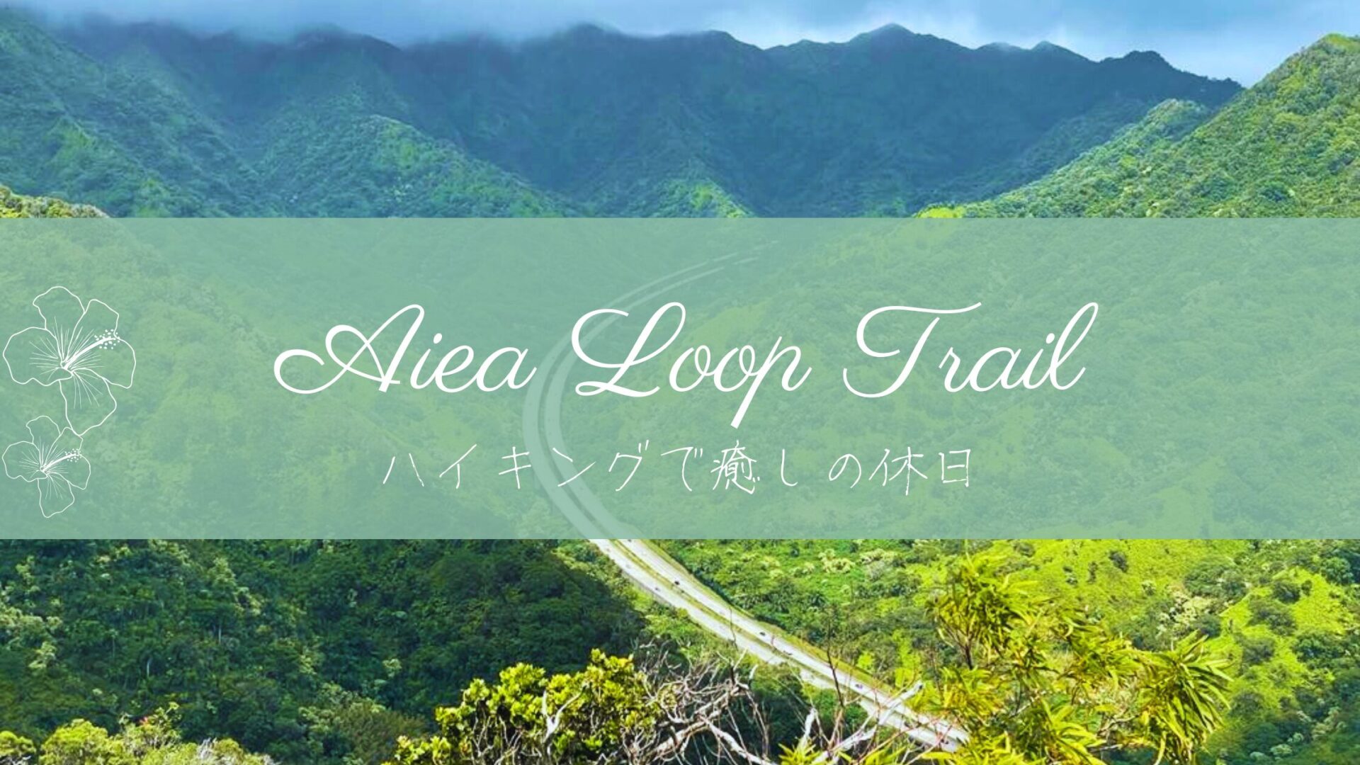 初心者にもおすすめ！ハワイの森歩き｜Aiea Loop Trailで癒しの休日