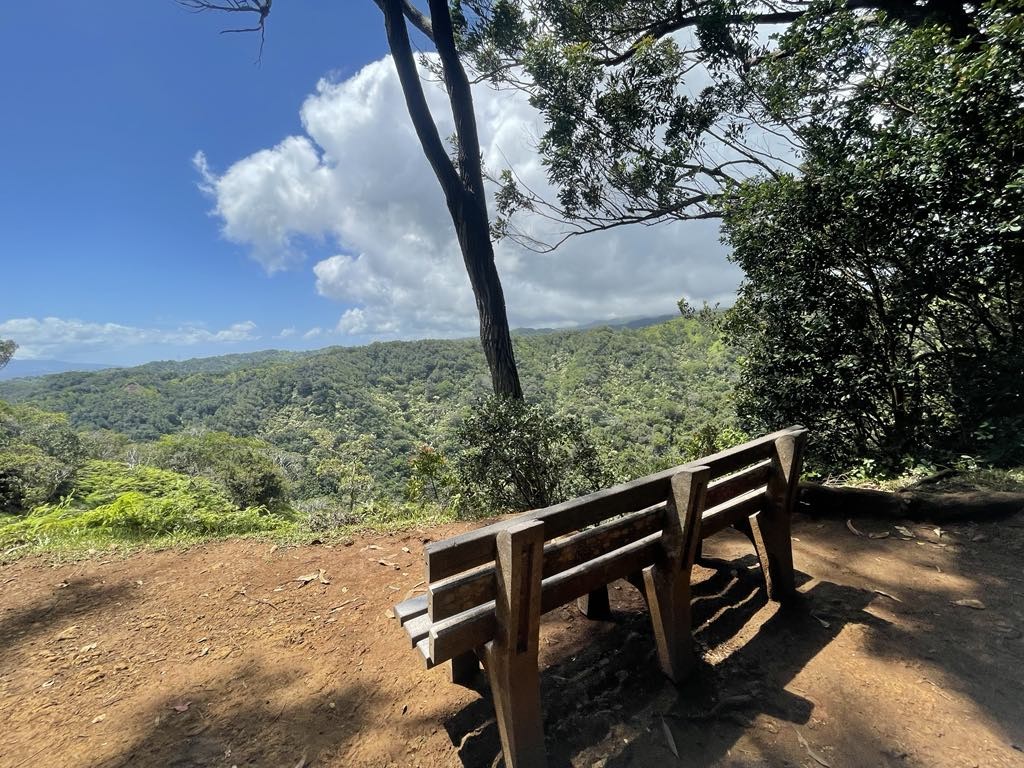 Aiea Loop Trailで癒しの休日