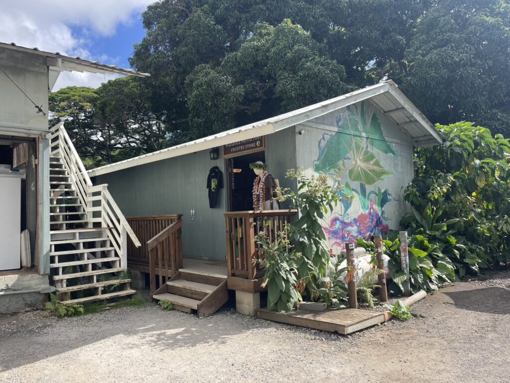クアロアドライブ