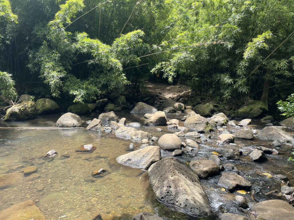 ハワイの週末
