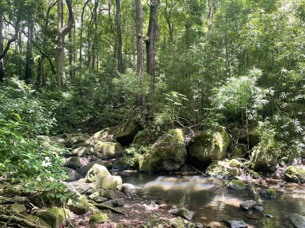 ハワイの週末