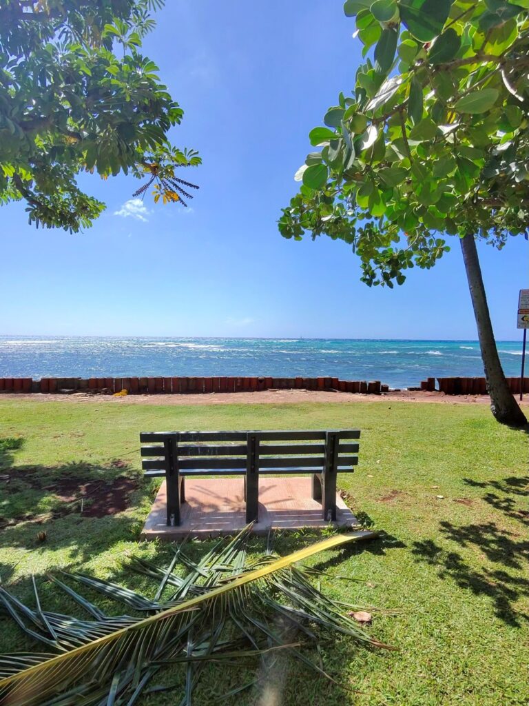 ダイヤモンドヘッド一周ウォーキング