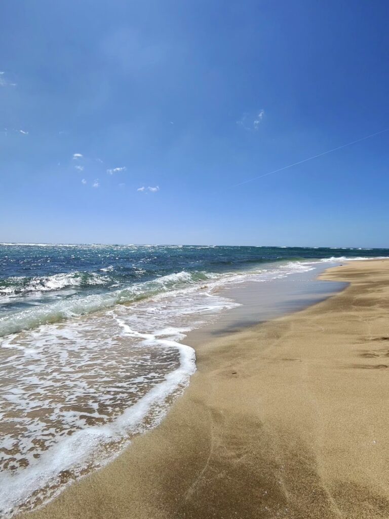 ダイヤモンドヘッド一周ウォーキング