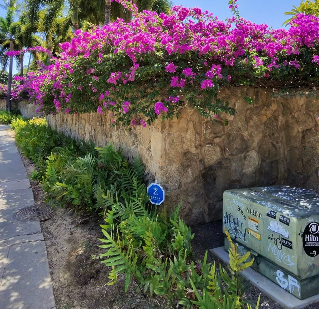 ダイヤモンドヘッド一周ウォーキング