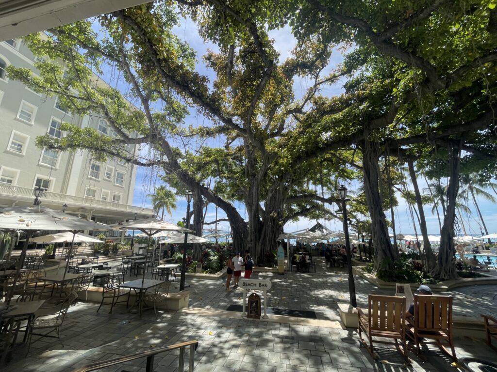 シェラトン vs モアナ徹底比較！