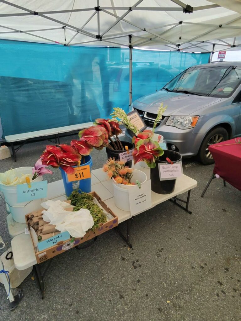 カカアコファーマーズマーケット2026レポ