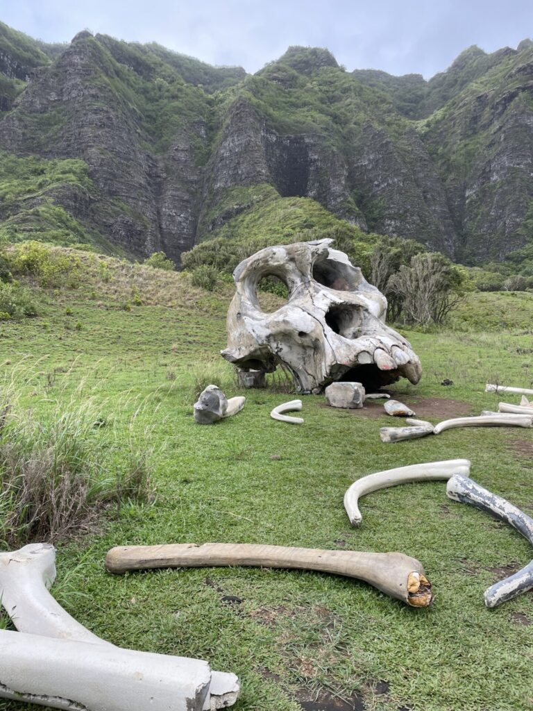 ハワイGWの過ごし方｜在住者が本気で選んだ無料スポット＆ツアーおすすめ5選♪