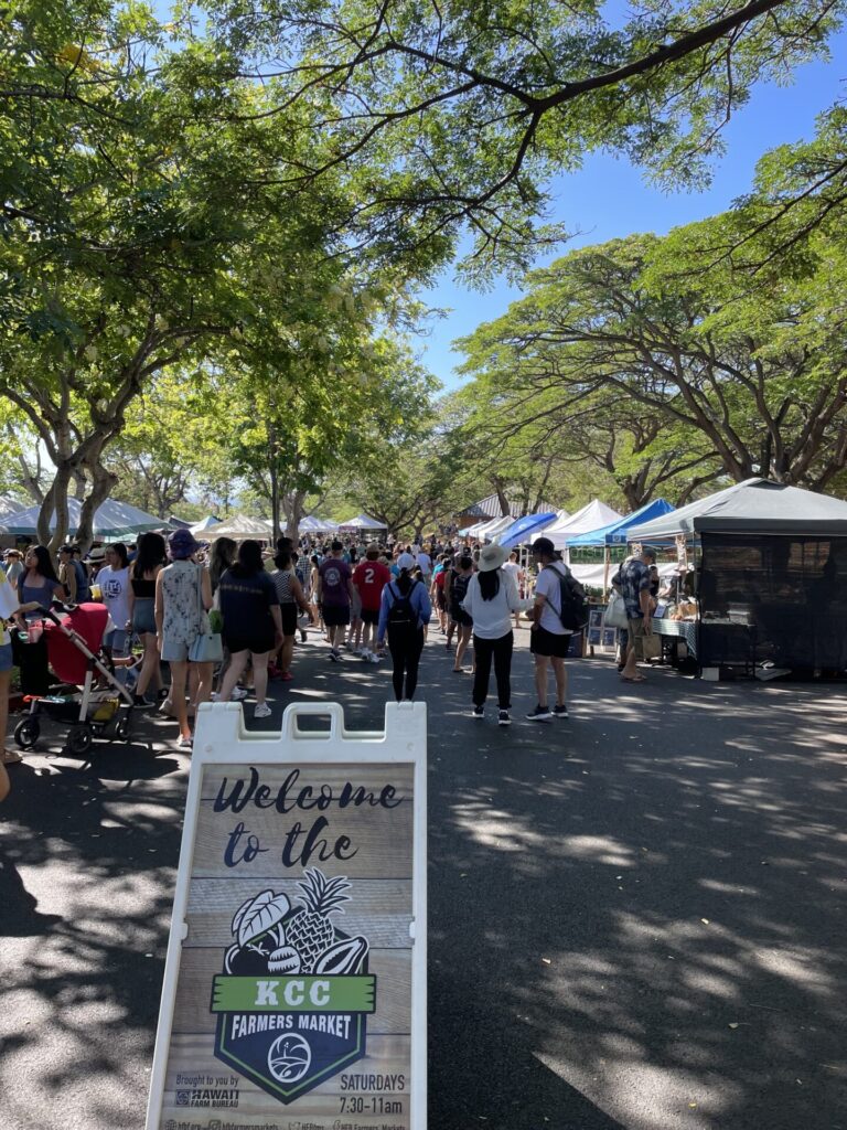 ハワイGWの過ごし方｜在住者が本気で選んだ無料スポット＆ツアーおすすめ5選♪