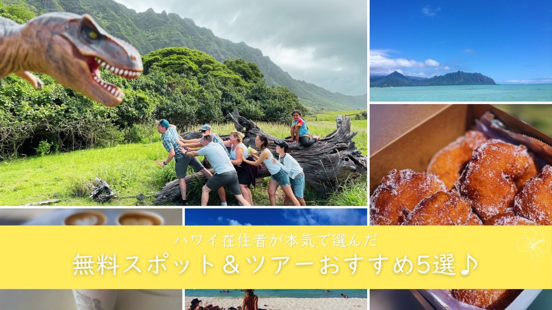 ハワイGWの過ごし方｜在住者が選ぶ無料スポット＆ツアーおすすめ5選 【子連れファミリーにも】