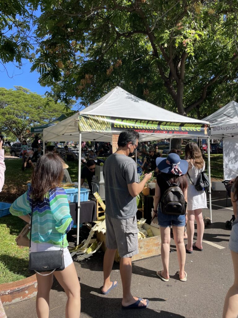 ハワイGWの過ごし方｜在住者が本気で選んだ無料スポット＆ツアーおすすめ5選♪