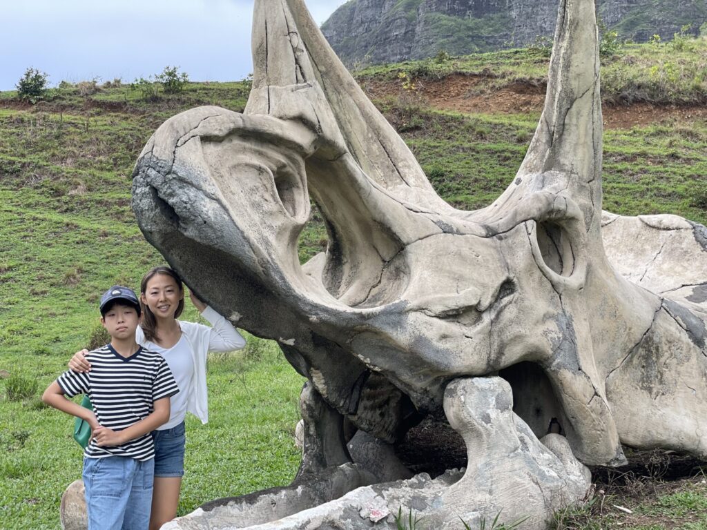 ハワイGWの過ごし方｜在住者が本気で選んだ無料スポット＆ツアーおすすめ5選♪